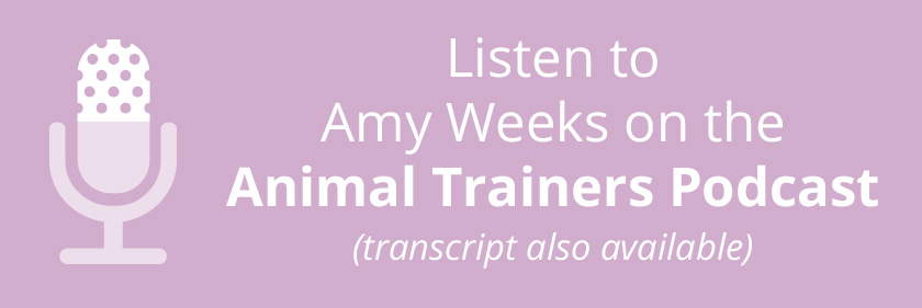 Amy Weeks Podcast