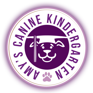 Amy's Canine Kindergarten logo
