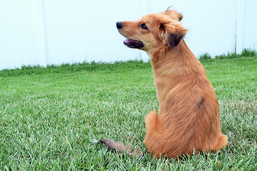 Amy Weeks - Private Lessons