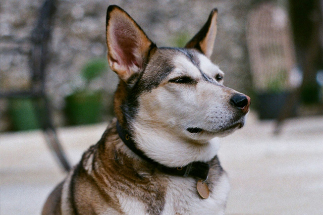 Amy Weeks - Private Lessons